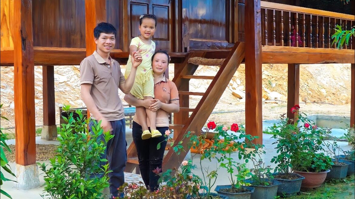 The Process Harvesting Melon Fruit Garden goes to the market sell – Happy family together The Process Harvesting Melon Fruit Garden goes to the market sell - Happy family together