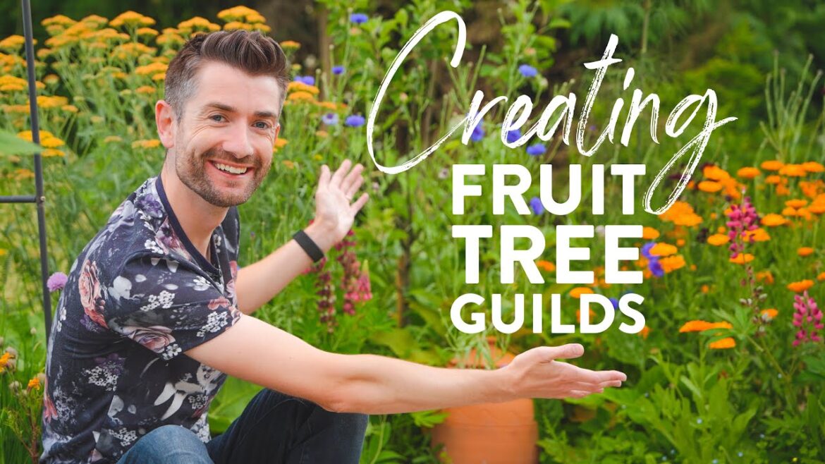 Plant These 6 Things for Great Fruit Tree Guilds