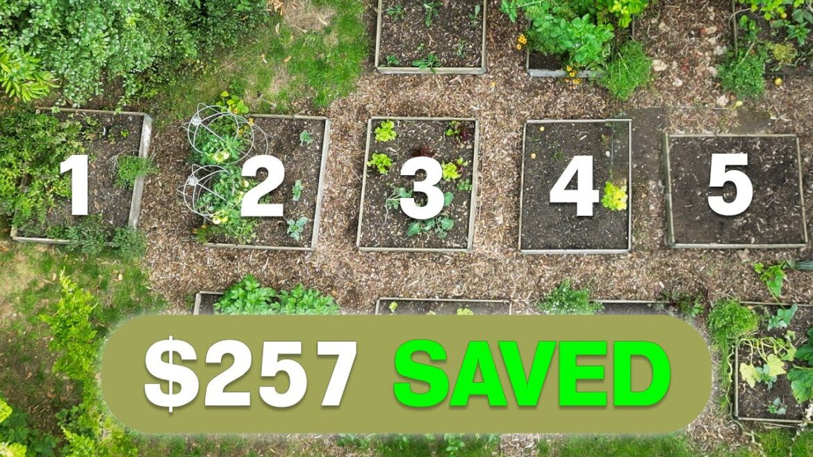 Survive Inflation: Grow These 5 Crops Survive Inflation: Grow These 5 Crops