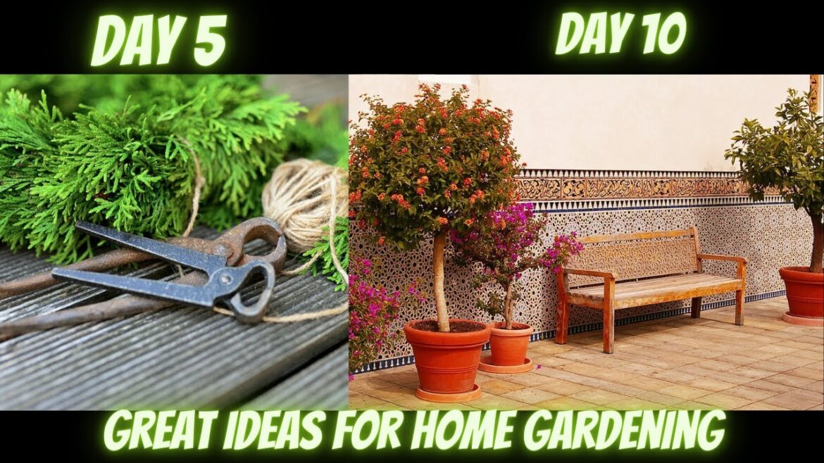 Great ideas for your home garden Great ideas for your home garden