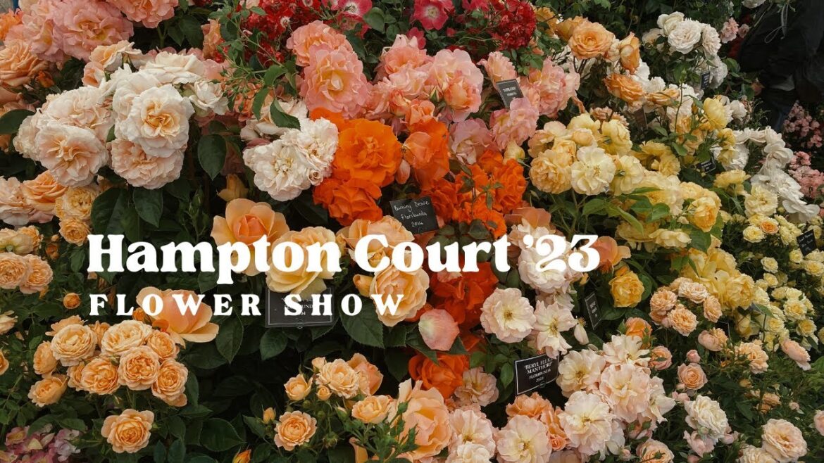 Hampton Court Flower Show '23 | & RHS Wisley - a stampede to the floral marquee!