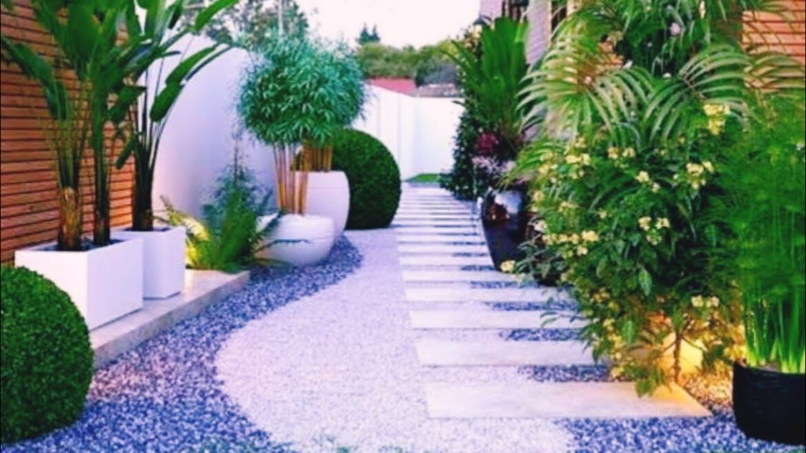 Modern Garden Landscaping Design Ideas | Modern Garden Container Plants Ideas #backyard #garden