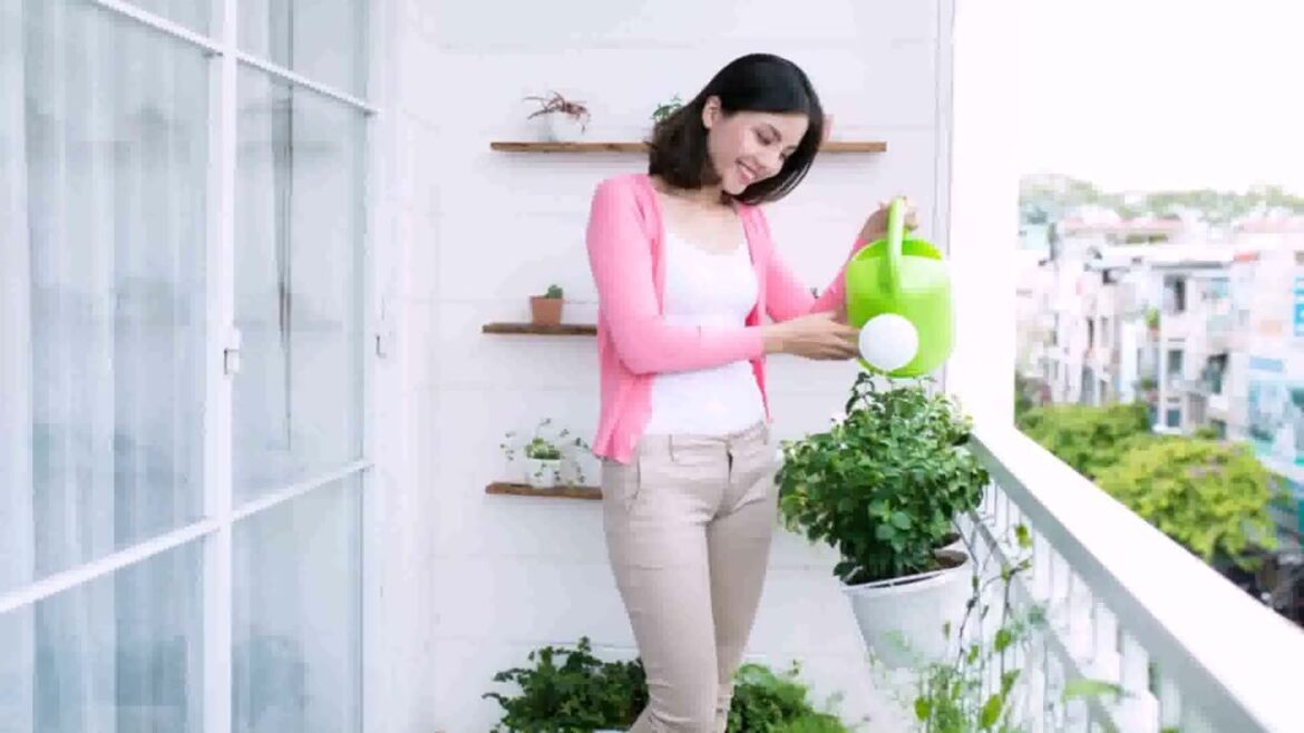 Balcony Garden Design Ideas India