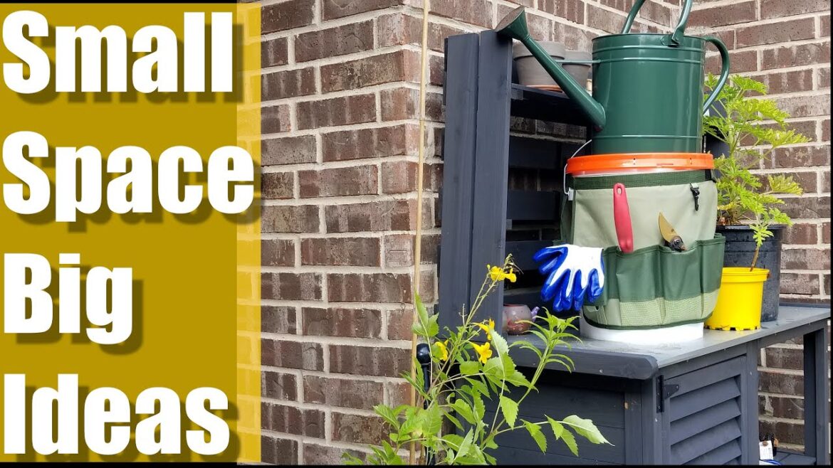 Container Gardening Steps |Transform Small Patio Space Container Gardening Steps |Transform Small Patio Space