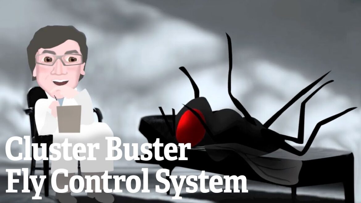Cluster Buster Fly Control System