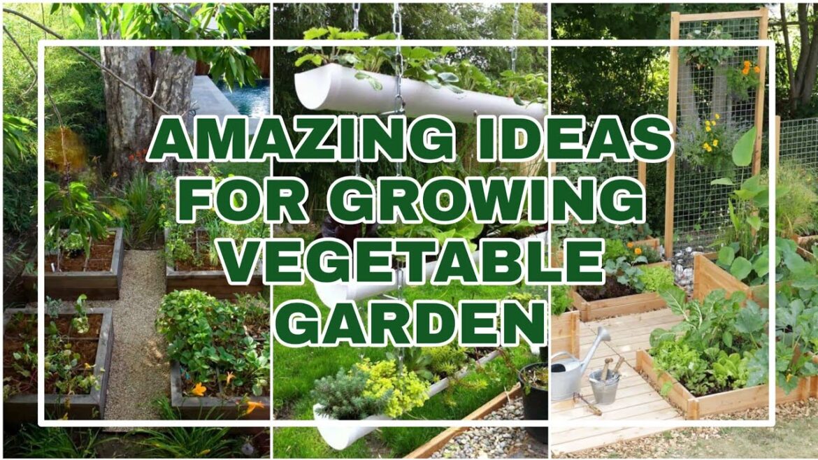AMAZING IDEAS FOR GROWING VEGETABLE GARDEN  | diy garden