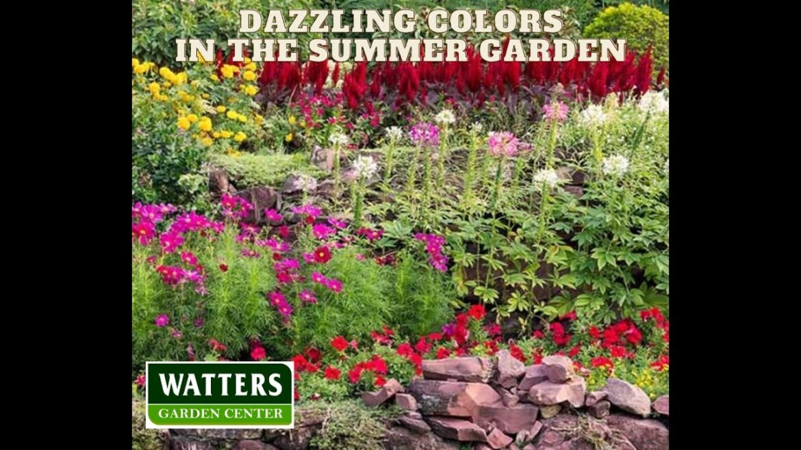 Blue Girls Gardener – Dazzling Colors in the Summer Gardens