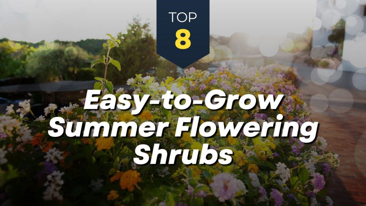 TOP 8 Easy to Grow Summer Flowering Shrubs πΊπ³ Blooming Flower Garden! TOP 8 Easy to Grow Summer Flowering Shrubs πΊπ³ Blooming Flower Garden!