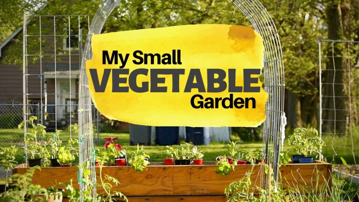 🌿🌿Planting my Small Urban Vegetable Garden in Zone 5