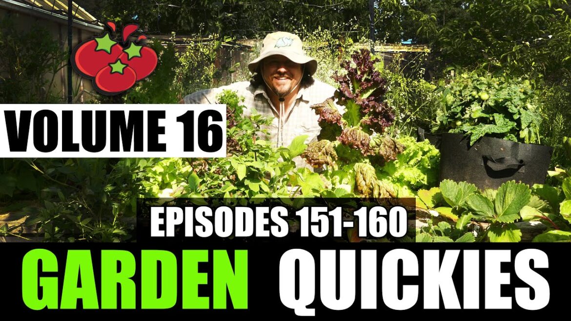 Garden Quickies Volume 16 - Episodes 151 to 160