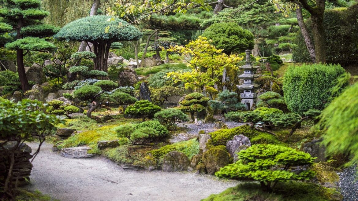 Relaxing Sounds of Nature in a Japanese Garden - Ambient Nature Sounds with Music to Relax & Calm