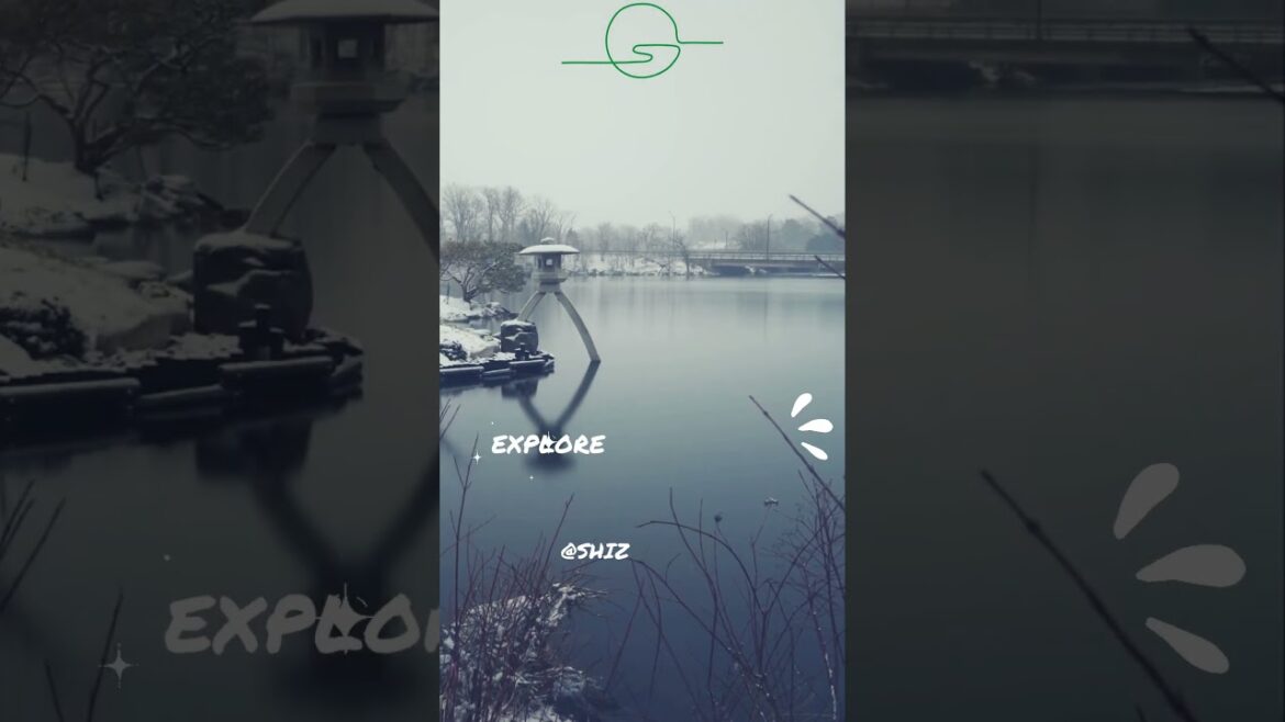 Japanese Garden Beauty in Winter