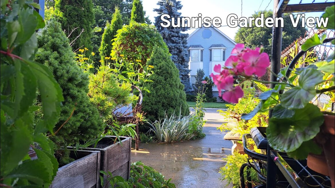 Easy & Comforting Garden Life | Front Yard Garden Easy & Comforting Garden Life | Front Yard Garden