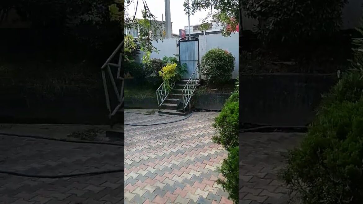 WOW Amazing/Home garden/Srilanka/What a beauty/