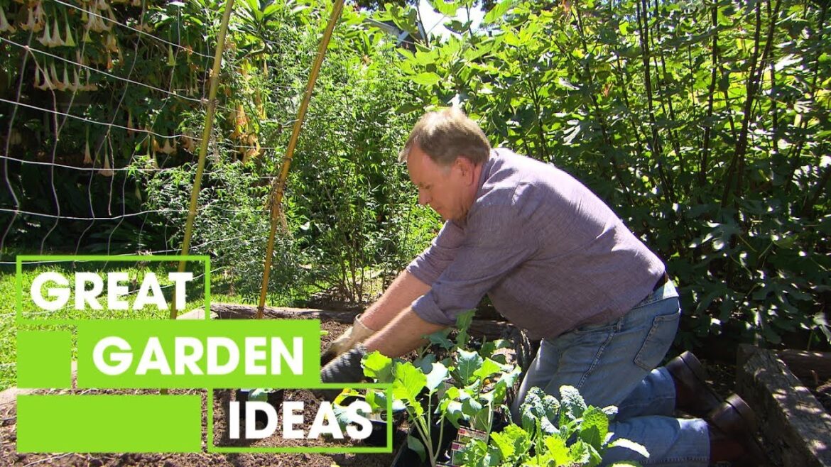 Winter Veg Gardening | Gardening | Great Home Ideas Winter Veg Gardening | Gardening | Great Home Ideas