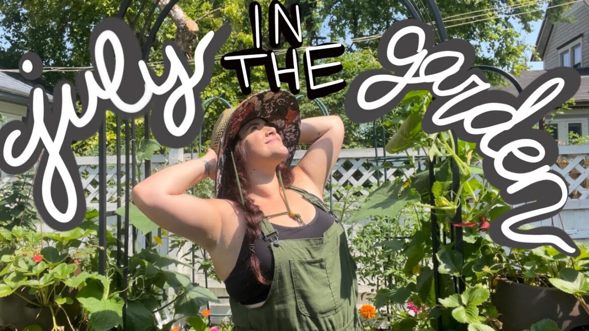 Backyard Gardening | July
