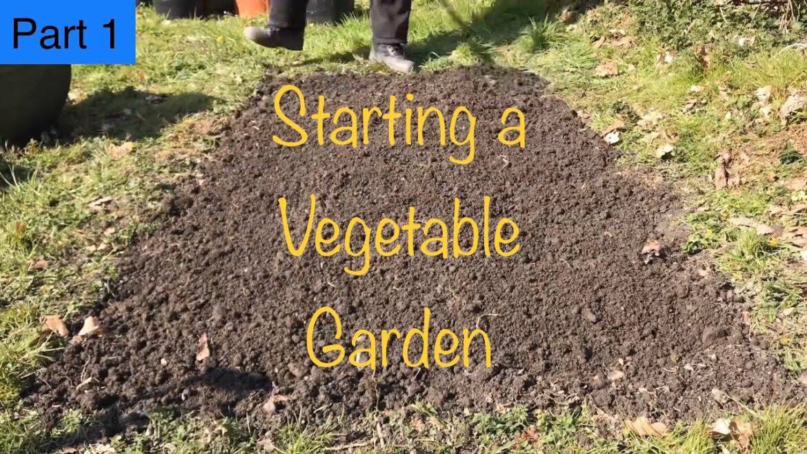 Starting a new Vegetable Garden – Ep01 Starting a new Vegetable Garden - Ep01