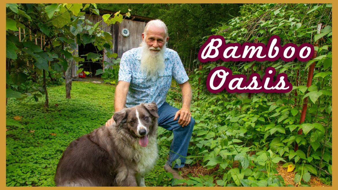 Kaye Kittrell: HE BUILT A PARADISE IN THE FOREST | July Garden Tour! HE BUILT A PARADISE IN THE FOREST | July Garden Tour!