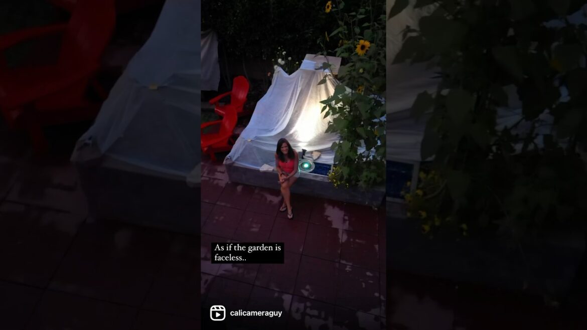 Garden Shut Down-HEATWAVE