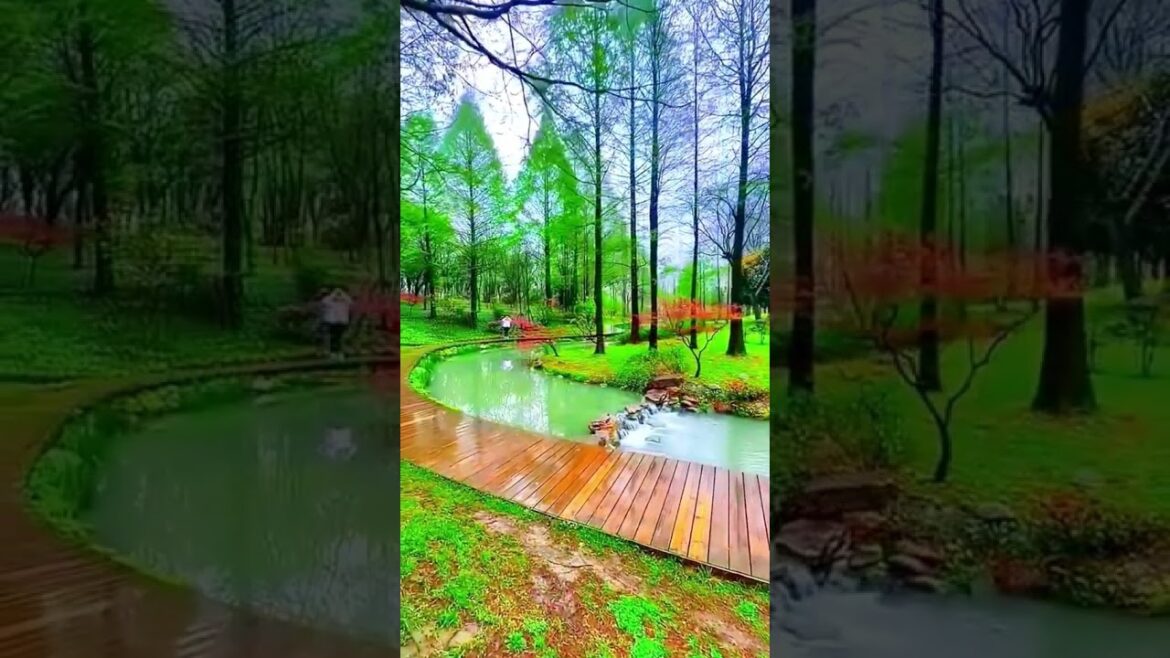 Beautiful Nature Garden Plan Natural life Style Beautiful landscapes Beautiful Nature Garden Plan Natural life Style Beautiful landscapes