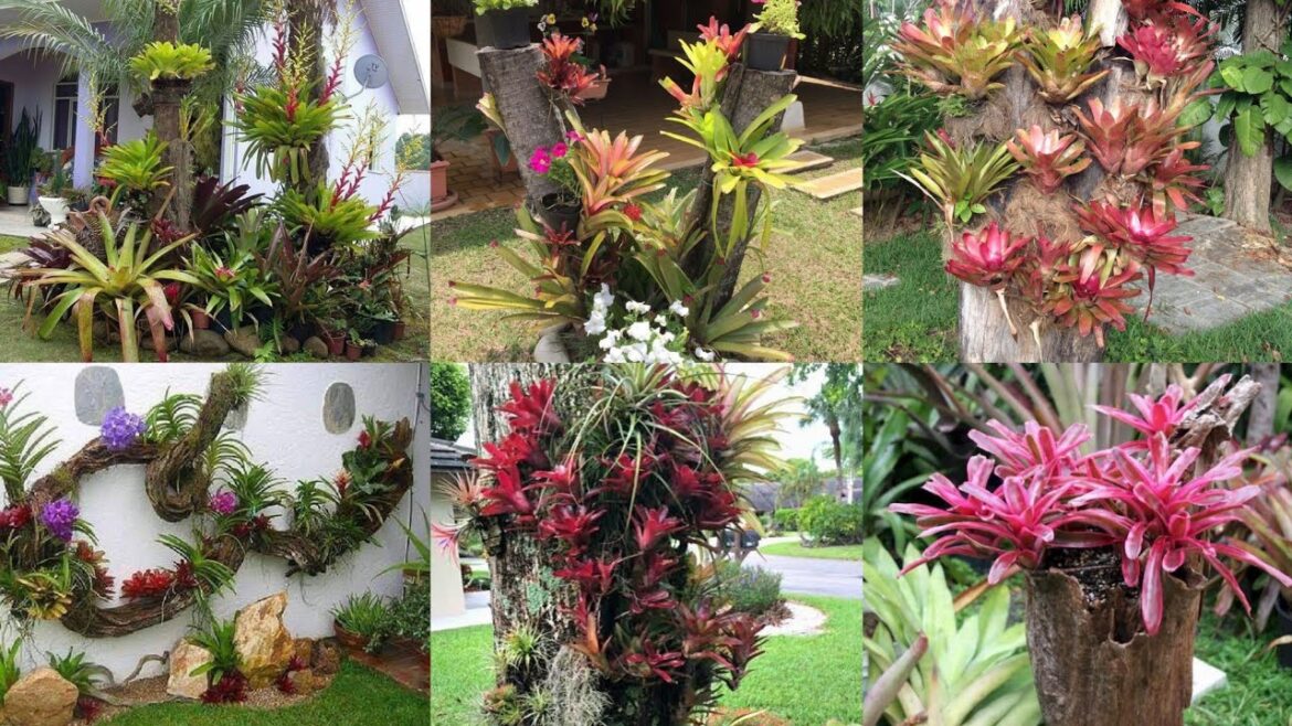 50 + amazing tree stump ideas for garden – landscaping ideas 50 + amazing tree stump ideas for garden - landscaping ideas