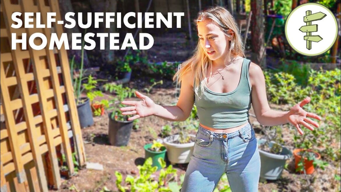 Homesteading Couple Hasn’t Bought Groceries in a Year of Self-Sufficient Living Homesteading Couple Hasn’t Bought Groceries in a Year of Self-Sufficient Living