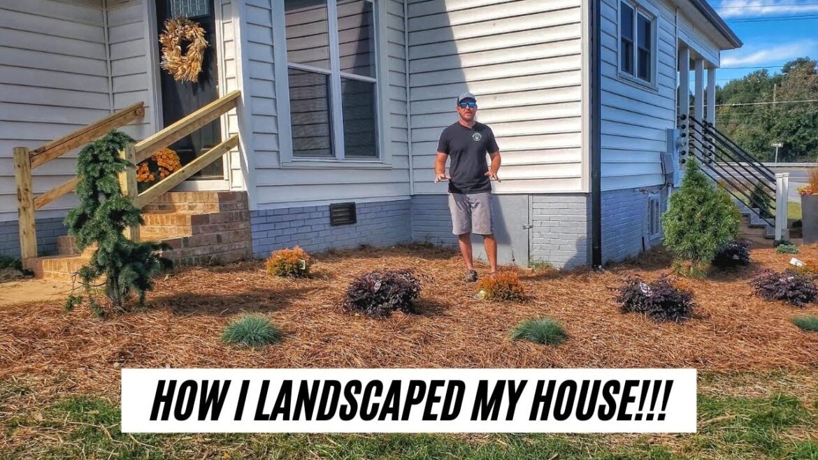 How to Landscape the Front of Your House |Part 1| How to Landscape the Front of Your House |Part 1|