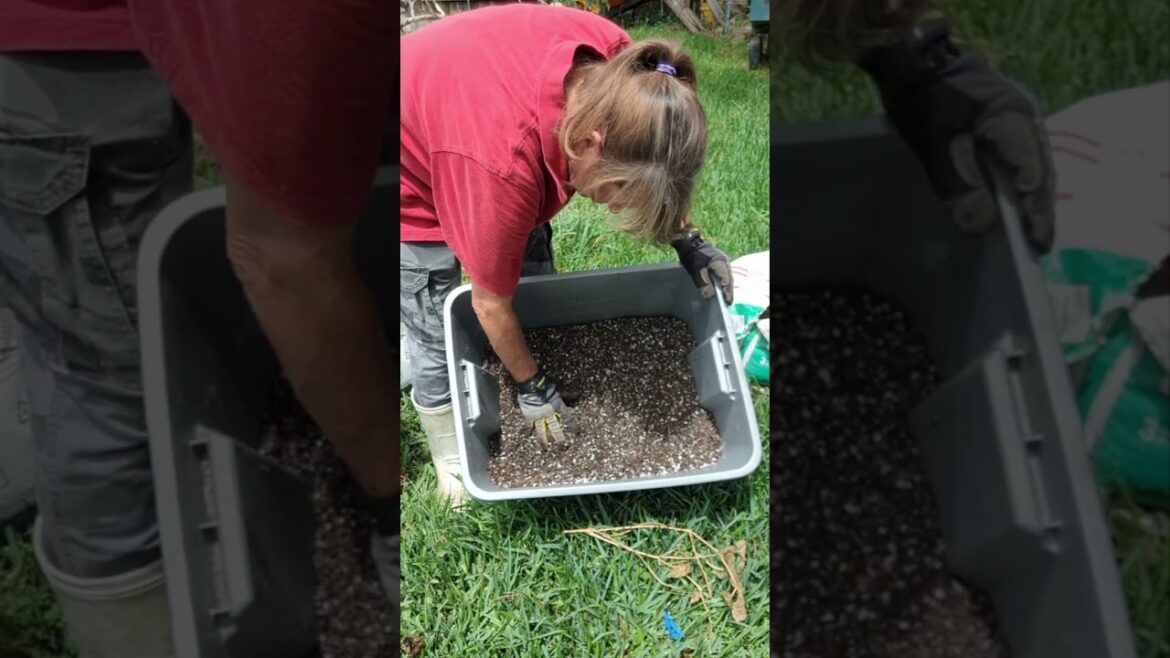 CONTAINER SOIL #gardening https://youtu.be/ayBlJpI0Ot8
