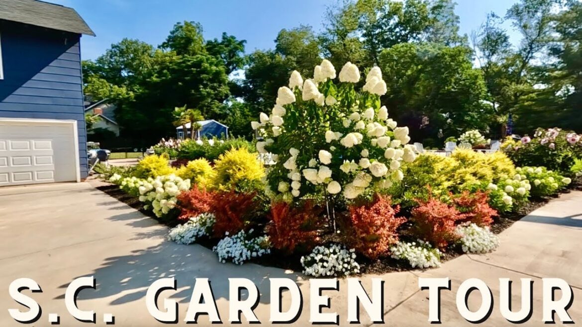 Garden Tour of SC Viewer’s Color-Filled Garden | Gardening with Creekside Garden Tour of SC Viewer's Color-Filled Garden | Gardening with Creekside