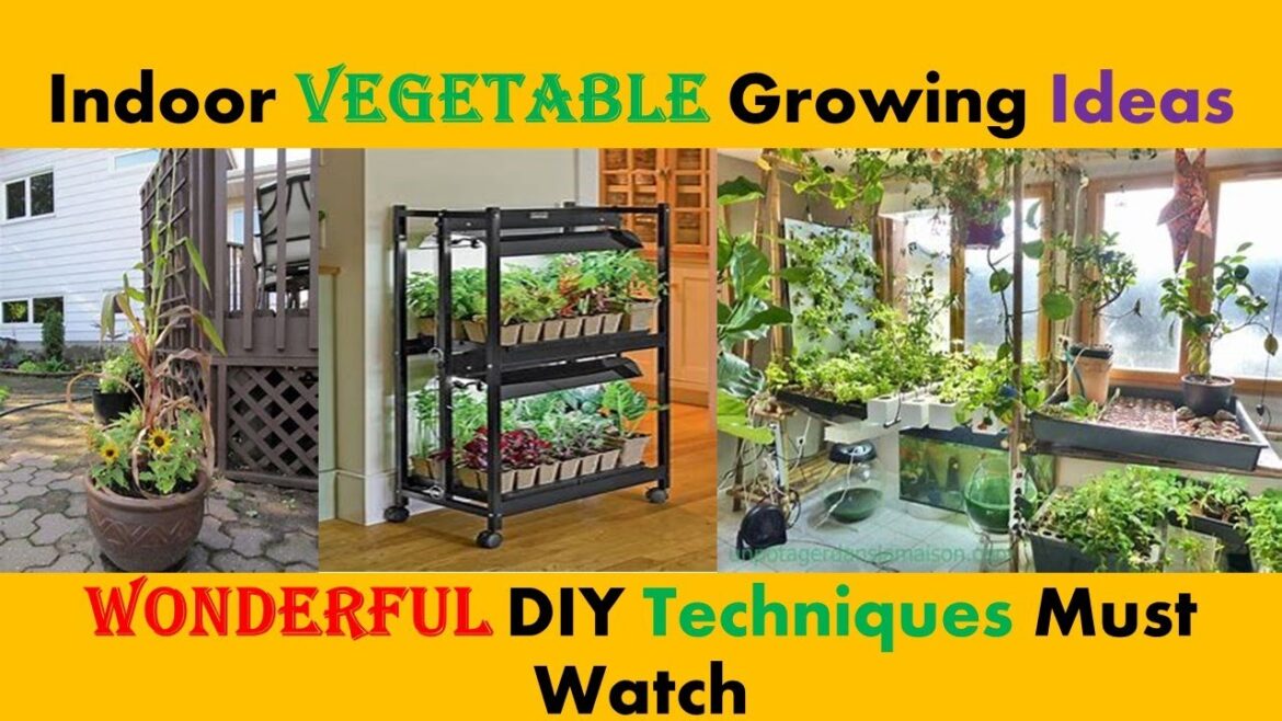 DIY Indoor Vegetable Growing Ideas | Indoor vegetable Garden | Indoor Vegetable Plants. DIY Indoor Vegetable Growing Ideas | Indoor vegetable Garden | Indoor Vegetable Plants.
