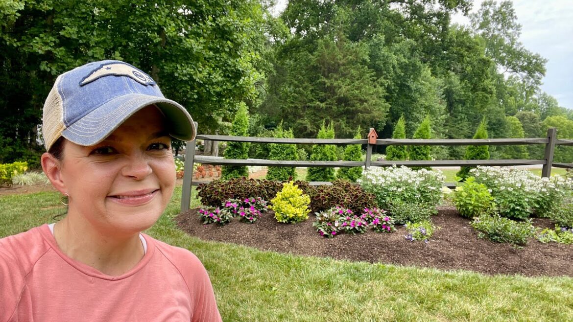 A Gardener’s Two Most Important Summer Tasks | Gardening with Creekside A Gardener's Two Most Important Summer Tasks | Gardening with Creekside