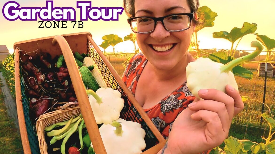 2023 Garden & High Tunnel Tour Week 9: Sad Onions & Happy Gourds 2023 Garden & High Tunnel Tour Week 9: Sad Onions & Happy Gourds