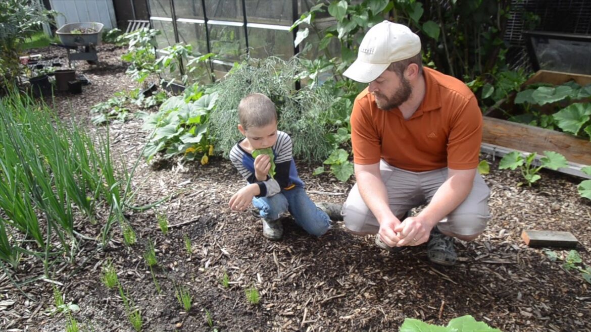 Vegetable Garden for a Family of Five (PNW Garden Tour) Vegetable Garden for a Family of Five (PNW Garden Tour)