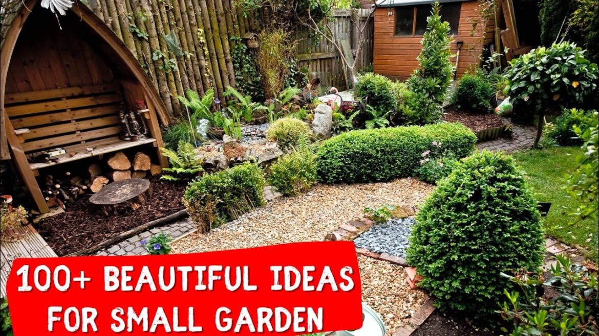 Most Beautiful landscaping ideas for small garden 2023 🍀 Gardening ideas for home Most Beautiful landscaping ideas for small garden 2023 🍀 Gardening ideas for home