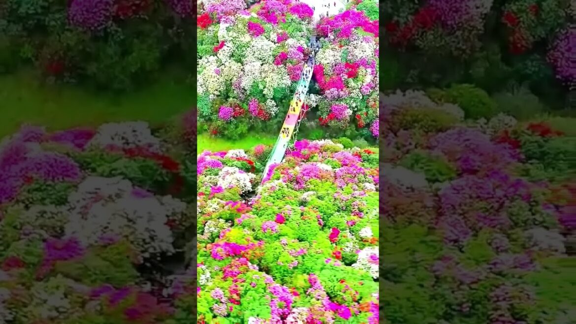 Beautiful Nature Garden Plan Natural life Style Beautiful landscapes