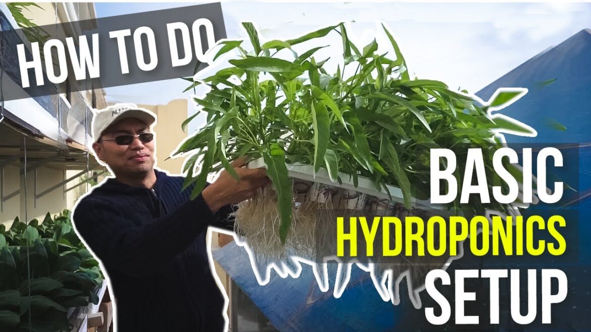 HOW TO DO HYDROPONICS - TUTORIAL FOR BEGINNERS - PAANO MAGTANIM | HOW TO DO BASIC HYDROPONICS