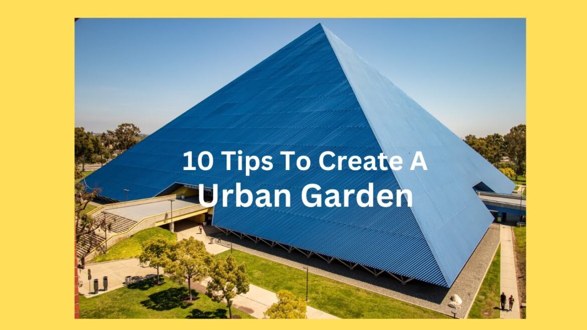 Tips for Creating an Urban Garden