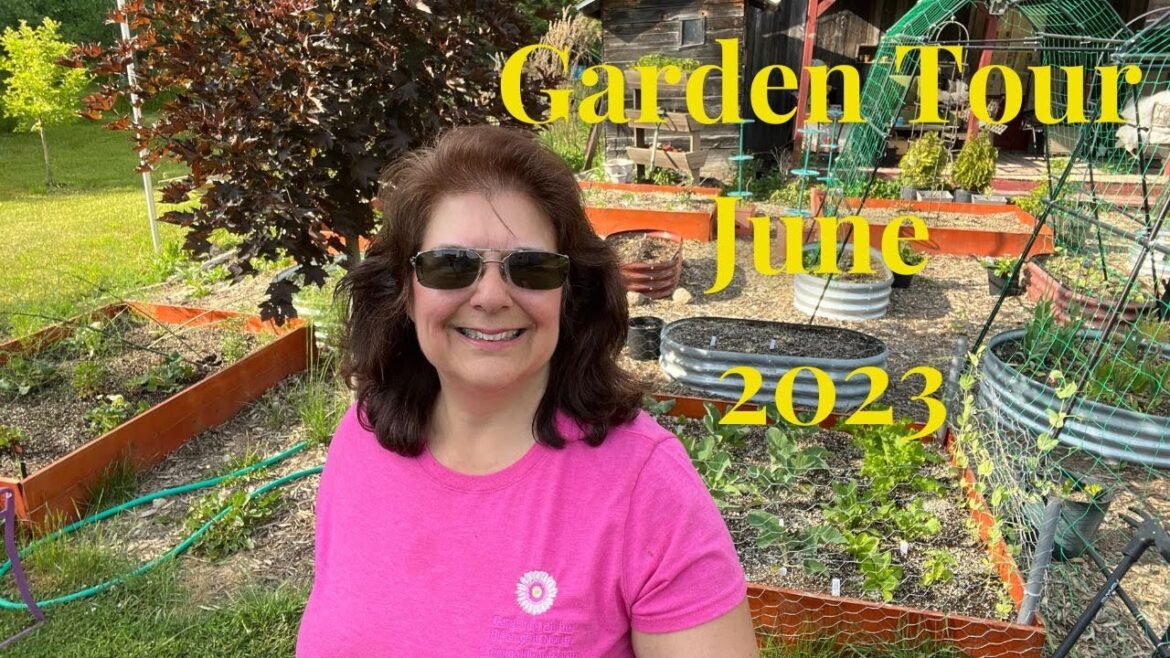 Garden Tour June 2023 // Gardening at the Simongetti North Garden Tour June 2023 // Gardening at the Simongetti North