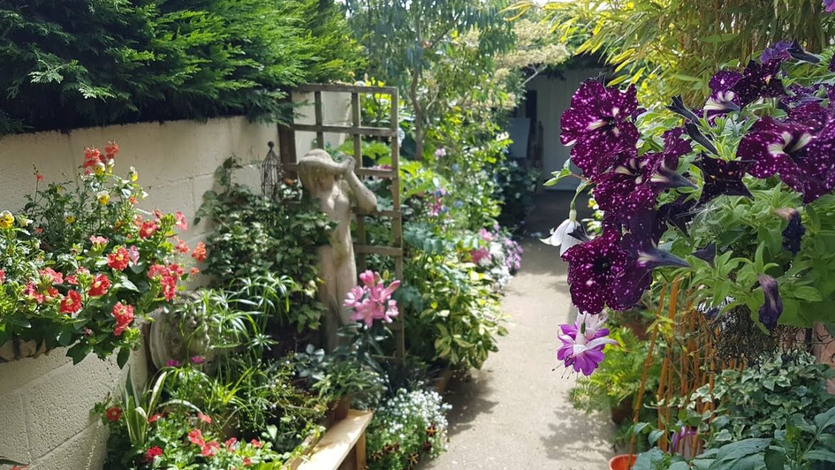 A tour of Justin’s Secret Garden. A small space made beautiful A tour of Justin's Secret Garden. A small space made beautiful