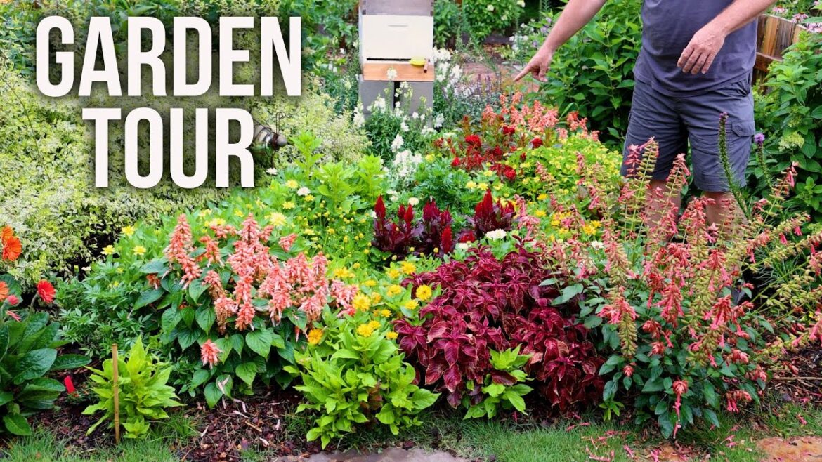 Clown College Garden Design Tour – P9 Clown College Garden Design Tour - P9