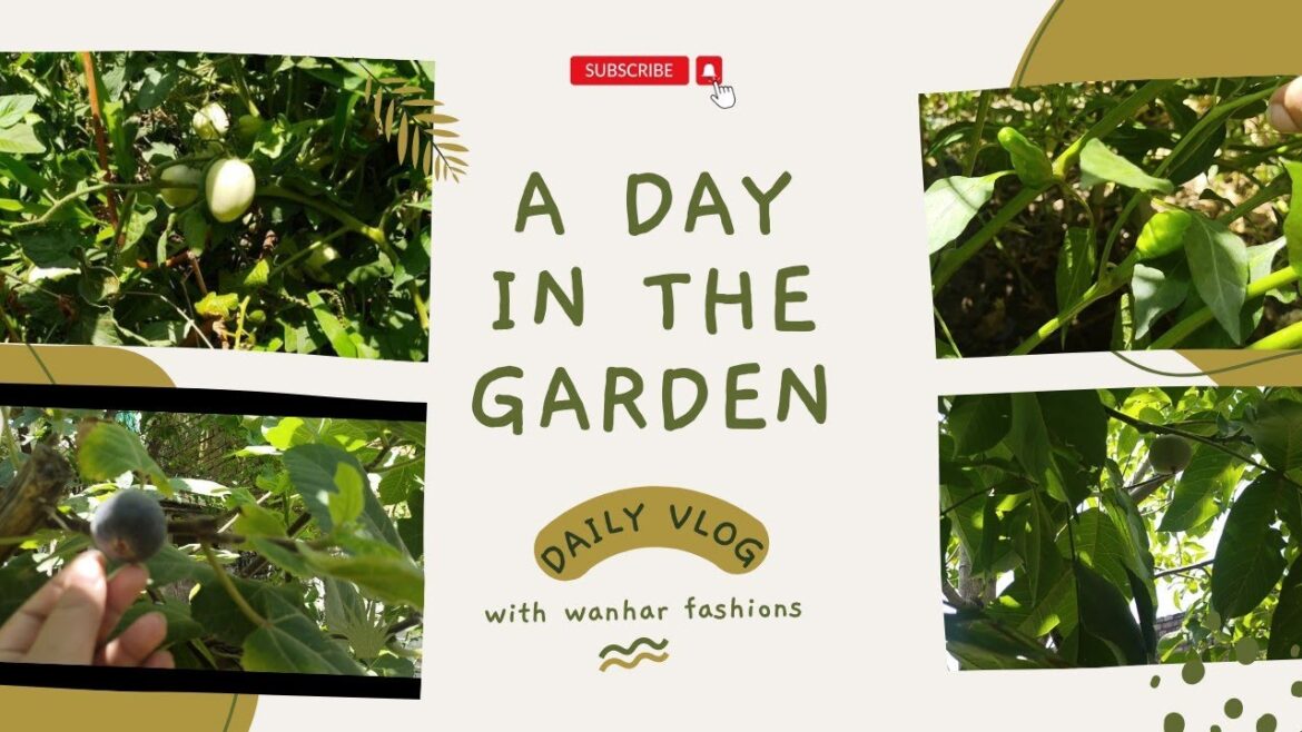 Expert Gardening Tips for Beautiful Home Gardens 🌿#gardening #garden #gardeningtips #wanharfashions Expert Gardening Tips for Beautiful Home Gardens 🌿#gardening #garden #gardeningtips #wanharfashions