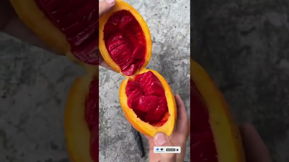 Reaxing 📷 |Fruits🍒🍓 Videos #shorts #shortsfeed