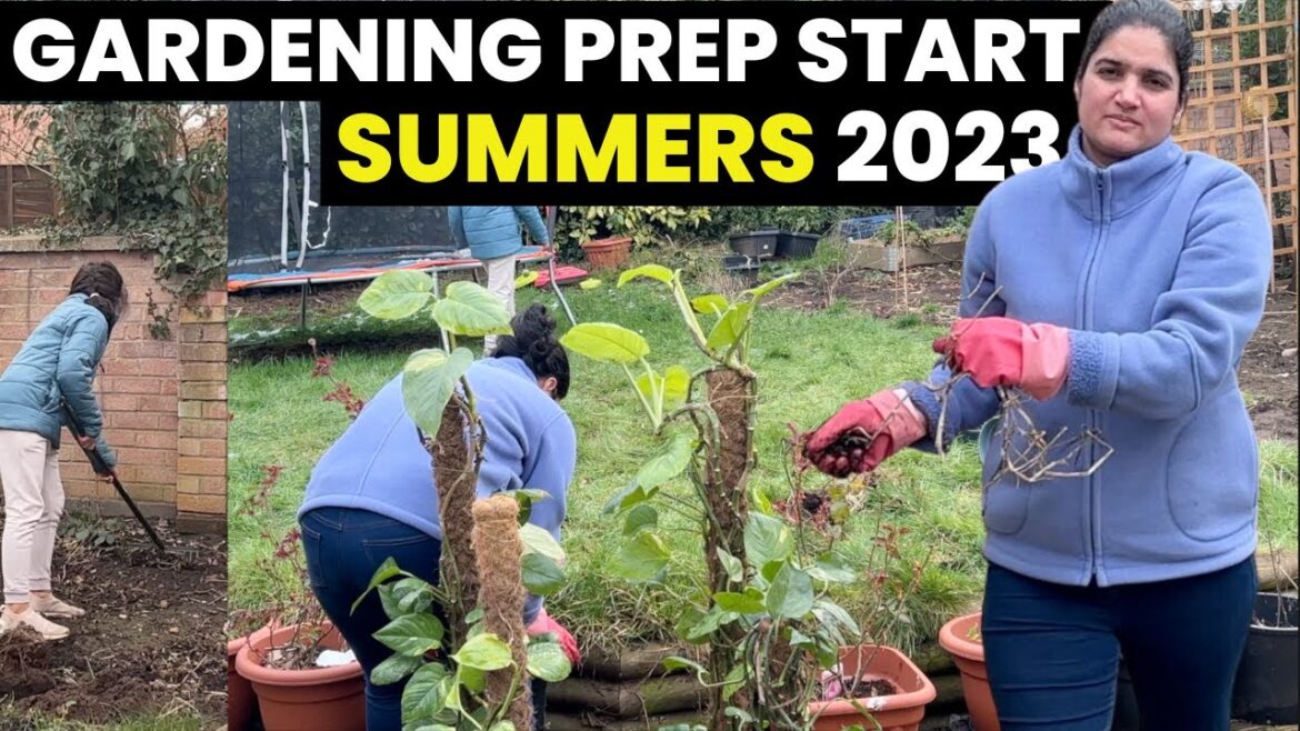 Vegetable Garden getting Ready for Summer 2023| Indian Family in England Vegetable Garden getting Ready for Summer 2023| Indian Family in England