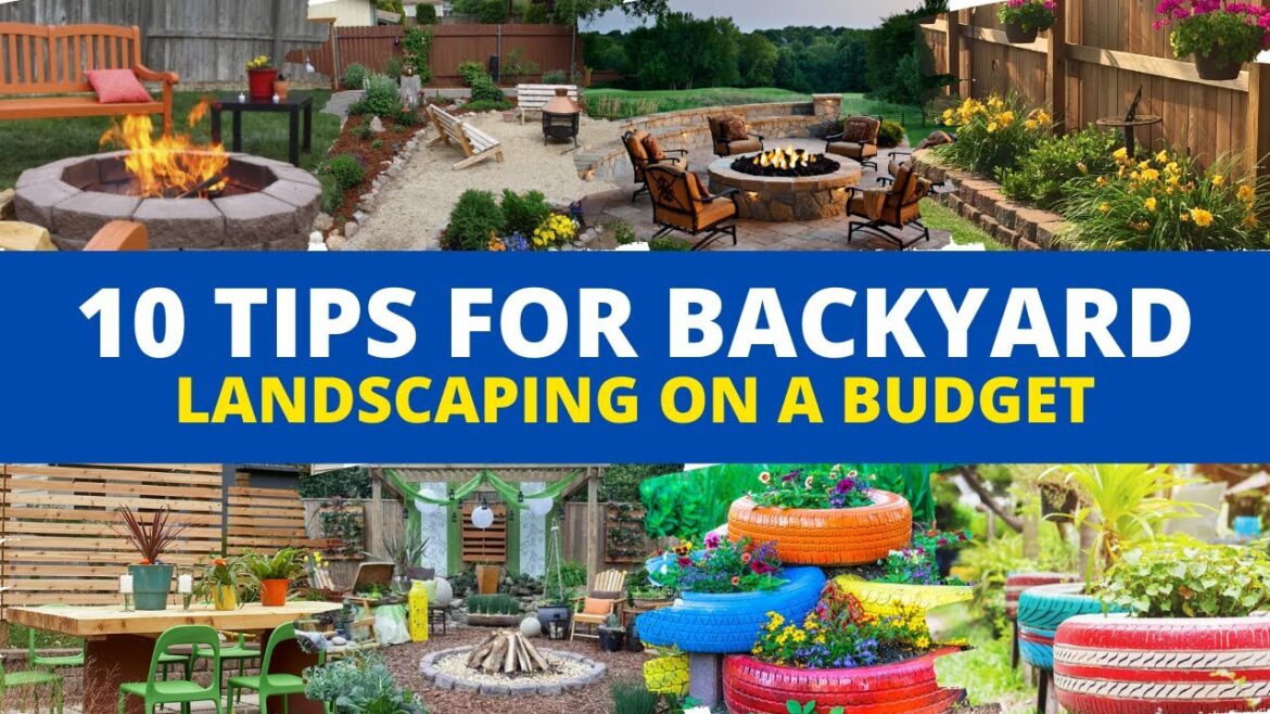 10 Tips for Backyard Landscaping on a Budget 💸