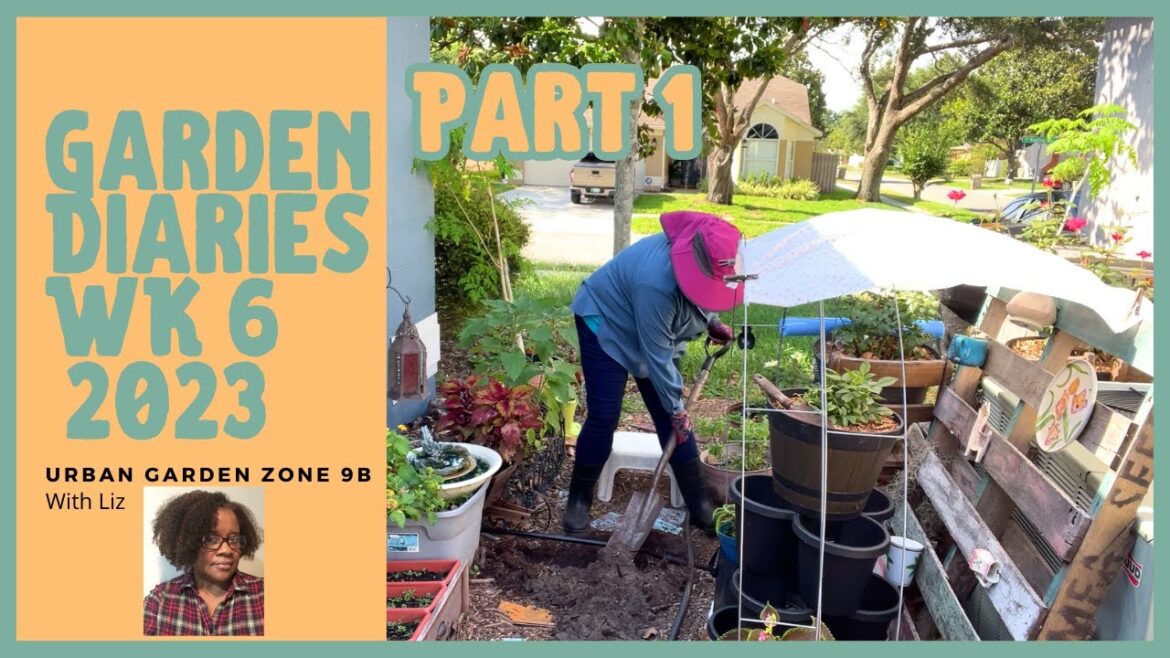 Zone 9B Container Small Space Garden Diaries, Garden Ideas, Garden Tips Weekly Update June 16 Part 1