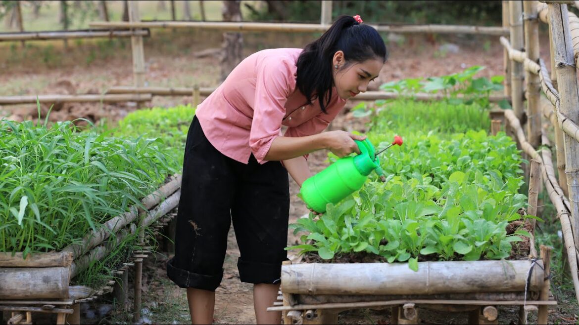 Today i prepare garden vegetable in my house