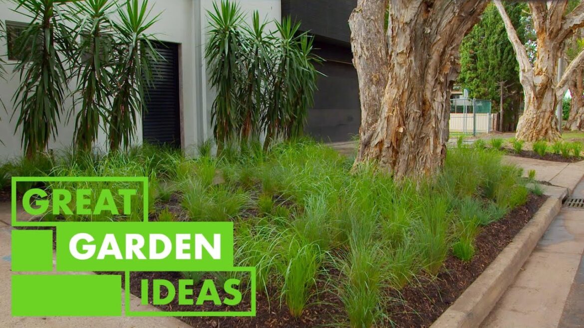 A Low-Maintenance Alternative to Laying Turf | GARDEN | Great Home Ideas A Low-Maintenance Alternative to Laying Turf | GARDEN | Great Home Ideas