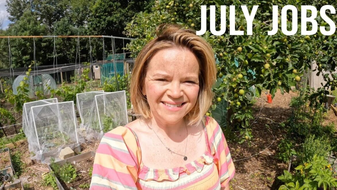 My Greenhouse Is Empty...My Plot Is Full!