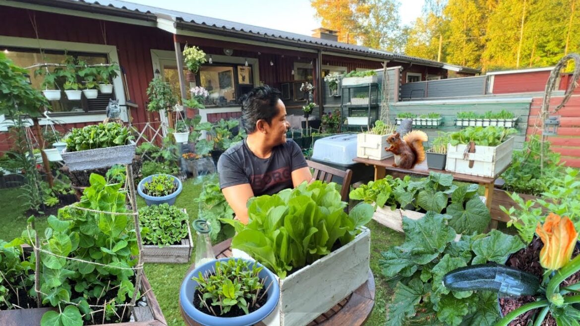 NAPAKASAYA!!! 😊ANG TATABA NA PO NG MGA TANIM KO!!! GULAYAN! VEGETABLE GARDENING! BUHAY PROBINSYA!