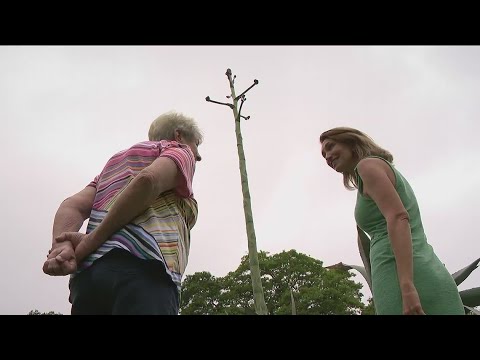 Woman’s front yard cactus suddenly shoots up 25 feet, 36 years after planting | Here’s why Woman's front yard cactus suddenly shoots up 25 feet, 36 years after planting | Here's why